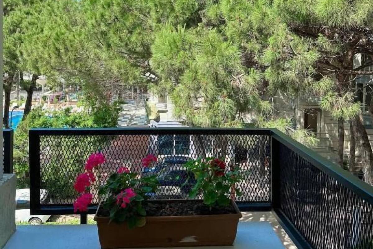 A balcony with a view of dense green trees and a clear blue sky.