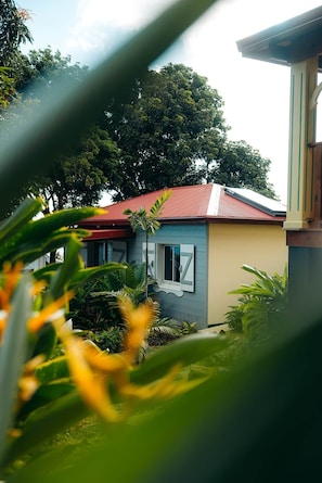 Una casa de techo rojo, una ventana con contraventanas blancas y abundante vegetación al frente.