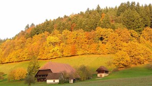 Un paysage rural avec deux maisons traditionnelles en bois situées sur une colline, entourées d’arbres aux couleurs automnales.