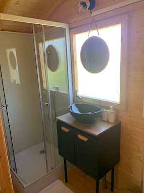 Shower, hair dryer, toilet paper
