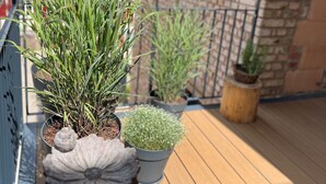 Une terrasse en bois agrémentée de plantes en pot, dont un petit arbre et divers arbustes.