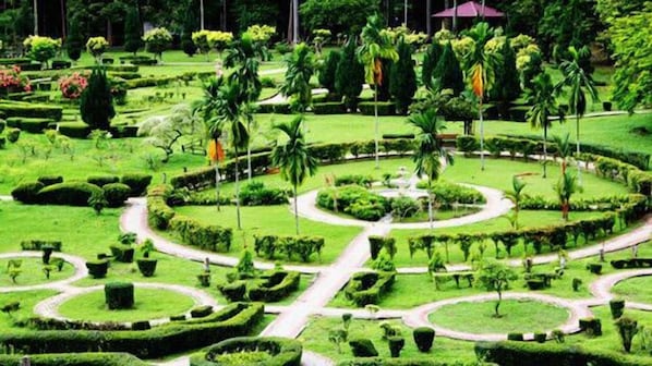 A formal garden with geometric landscaping, pathways, and various plant species.