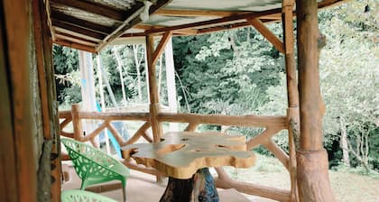 Bukit Lawang Wonderful bed & breakfast Rimba House in Batu Kapal North Sumatra