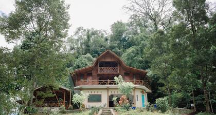 Bukit Lawang Wonderful bed & breakfast Rimba House in Batu Kapal North Sumatra