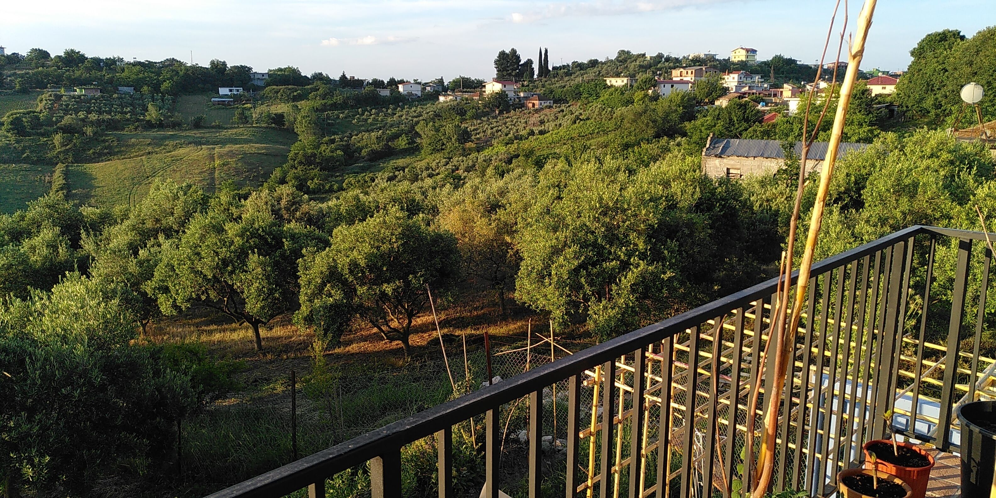 Un balcó amb vista a un paisatge amb turons, incloent arbres i edificis a la distància.