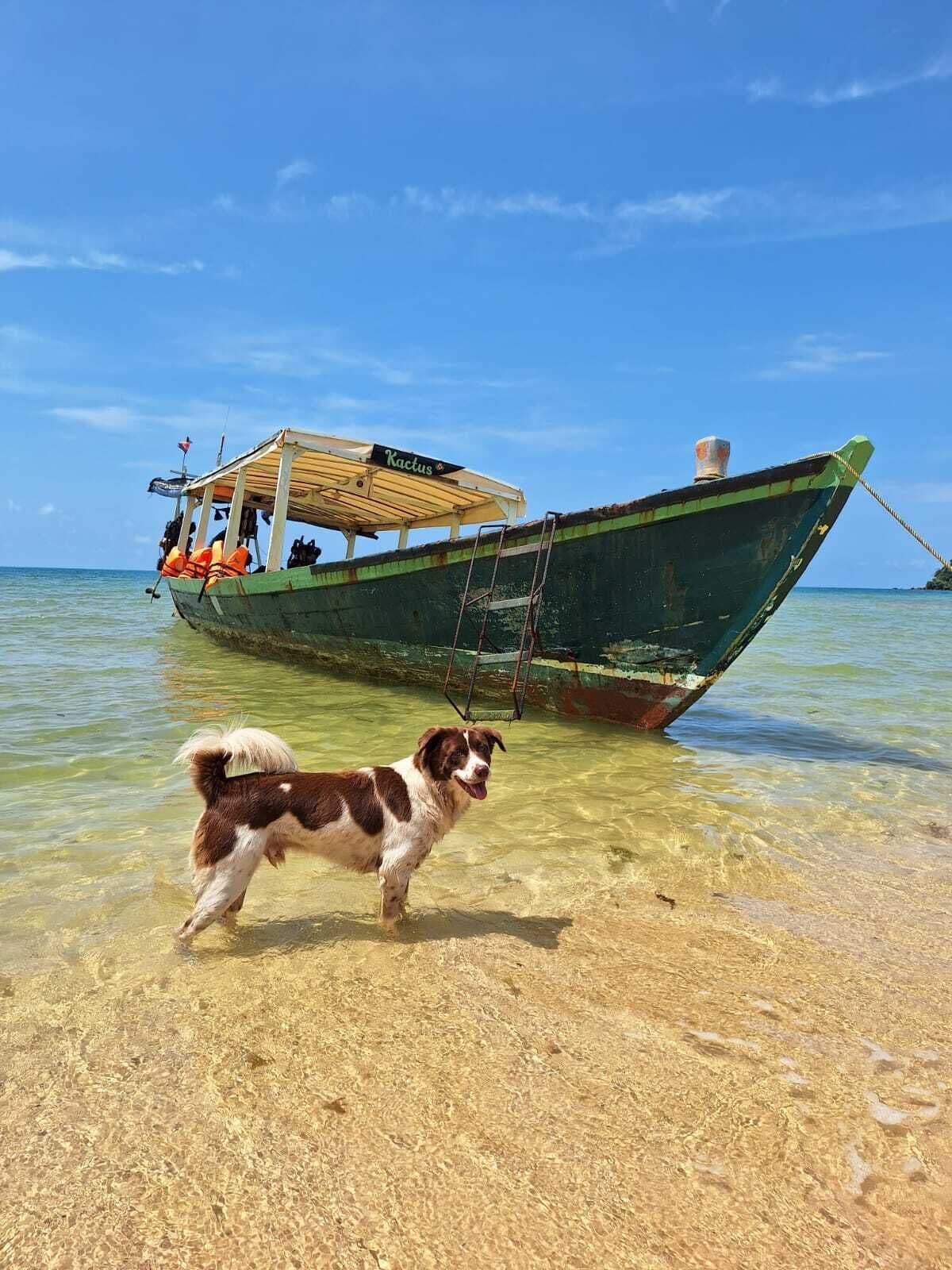 A boat named 'Kactus' anchored near a beach with clear shallow waters.