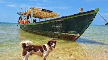 A boat named 'Kactus' anchored near a beach with clear shallow waters.