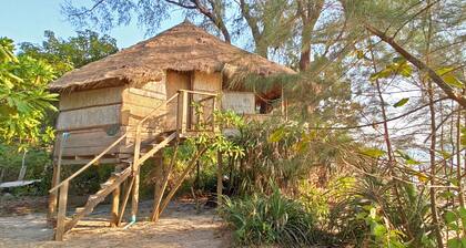 Kactus Your Island Sanctuary In Cambodia