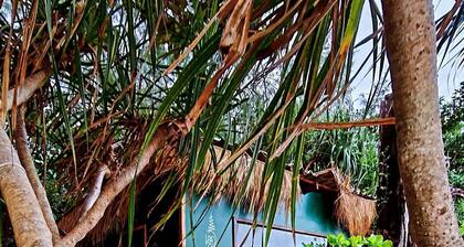 Kactus Your Island Sanctuary In Cambodia