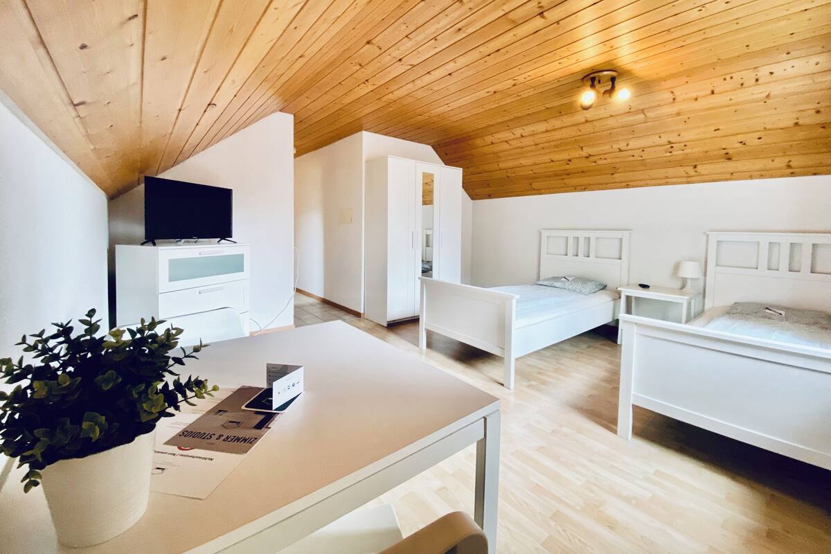 Ein Schlafzimmer mit Holzboden, einem Bett, einem Nachttisch, einem Fernseher, einem Kleiderschrank und einer Pflanze.