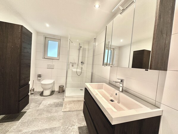 A modern bathroom with a walk-in shower, a large vanity with a sink, and a toilet.