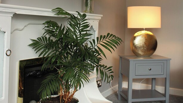 A room with a white fireplace, a mirror, a vase with flowers, a potted plant, and a lamp on a side table.