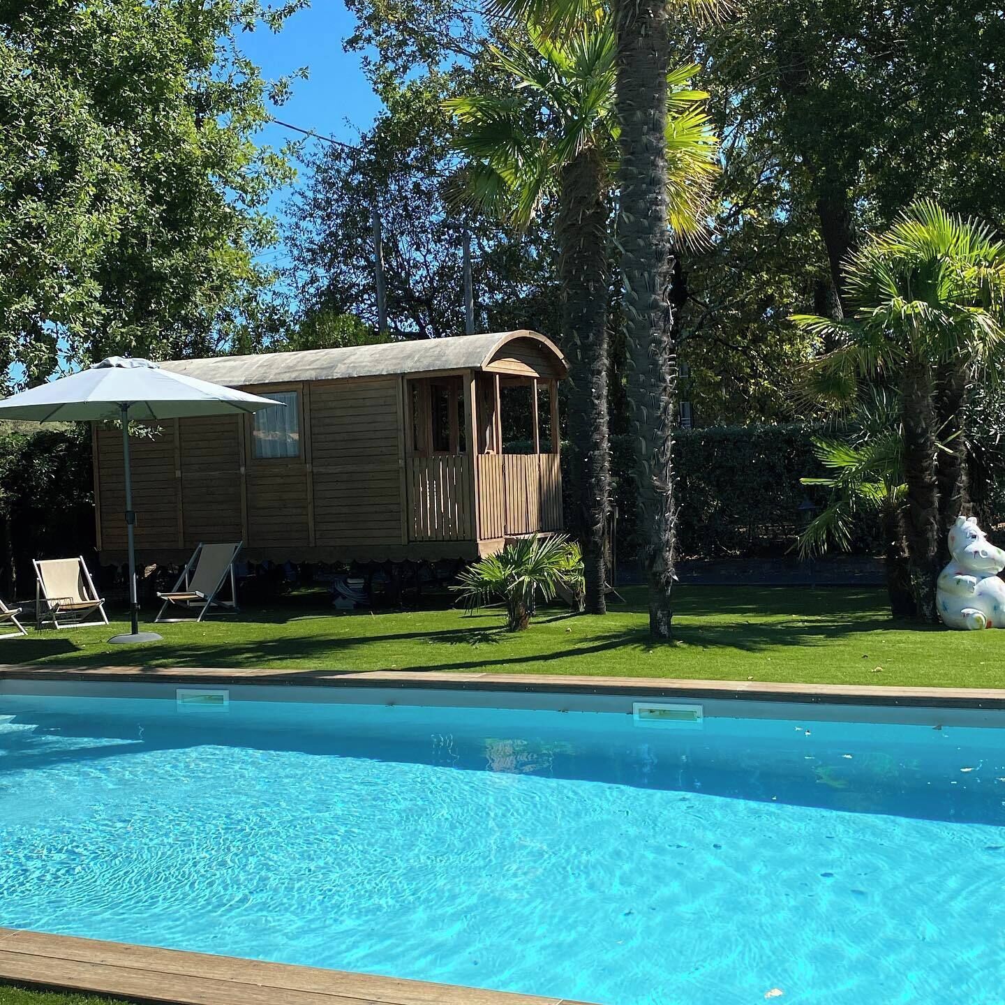 A wooden cabin with a pool, surrounded by palm trees and a clear blue sky.