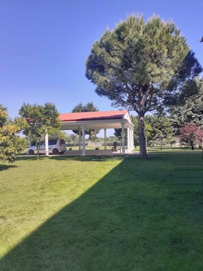 Property grounds - The Cottage in Paralia (Paralia)