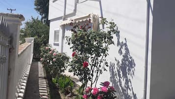 Detalle exterior