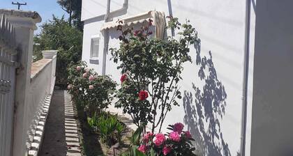 The Cottage in Paralia