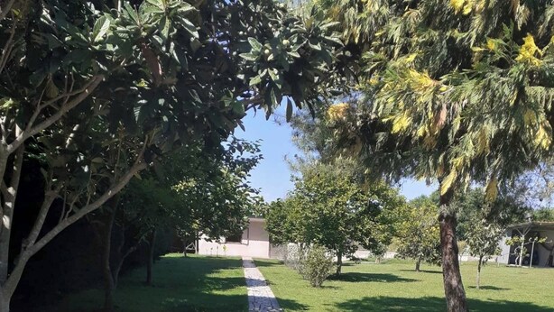 A stone pathway in a grassy area with trees and a building in the background. - The Cottage in Paralia (Paralia)