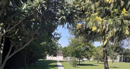 The Cottage in Paralia