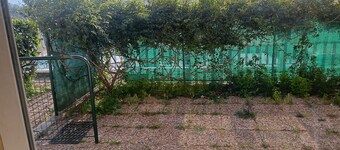 Rental Semi-detached house