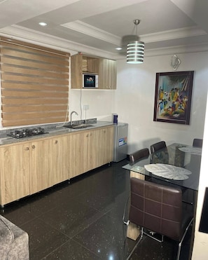 Apartamento familiar, balcón, vistas a la ciudad | Cocina privada | Frigorífico, microondas, horno y placa de cocina