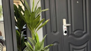 Une plante en pot est placée devant une porte gris foncé, qui comporte un trou de serrure et une fenêtre sur le côté gauche.