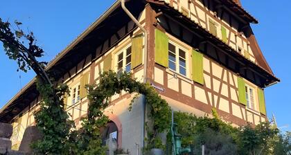 Ferienwohnung 'Groß' mit Gemeinschaftsgarten und WLAN