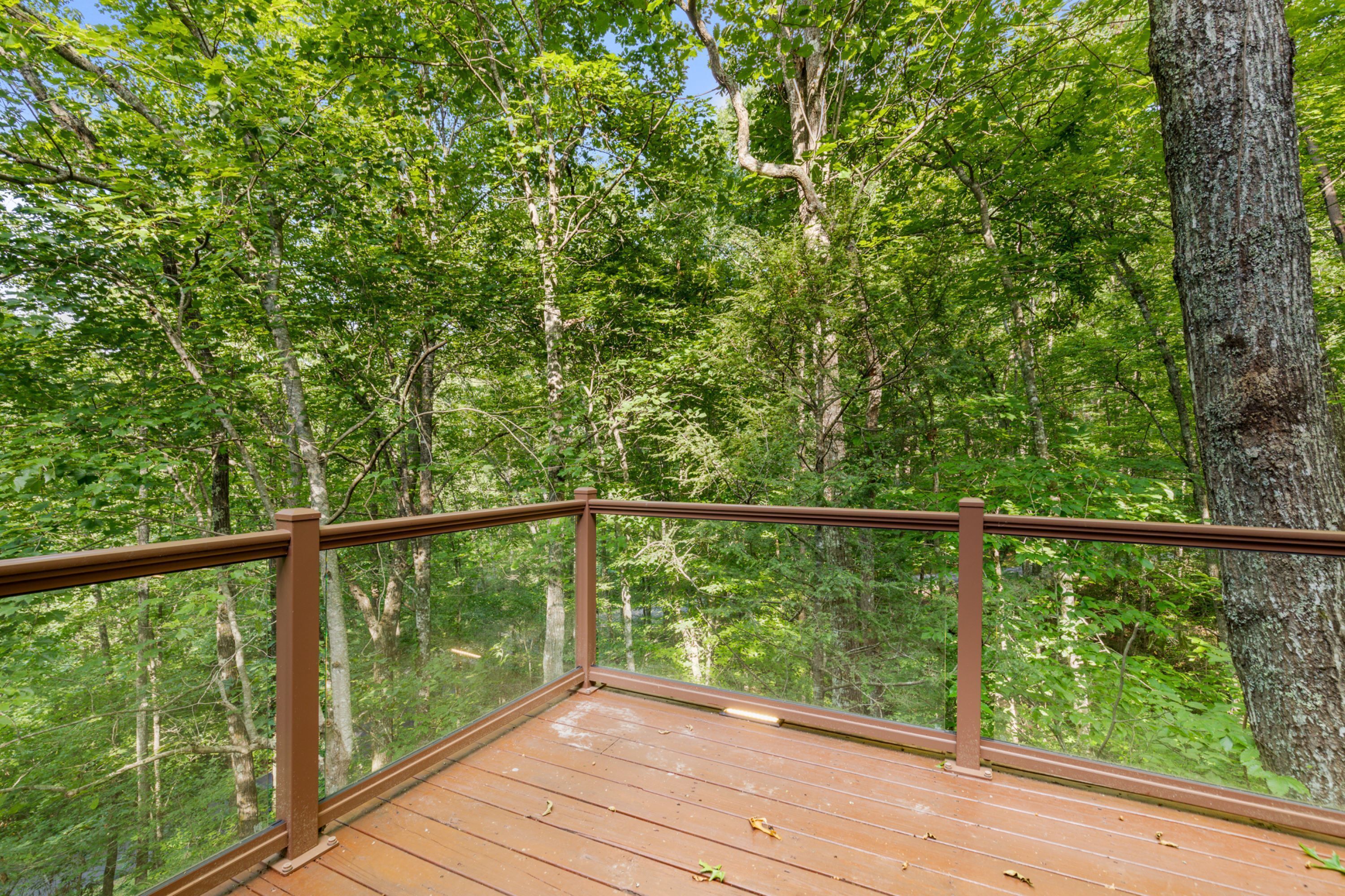 A wooden deck with a glass railing overlooking a forest.