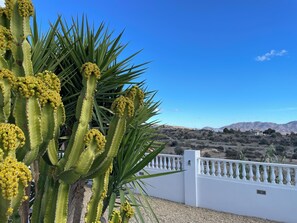 Property grounds - Casita Está Aquí, cozy and comfortable cottage with pool in quiet area (Úrcal)