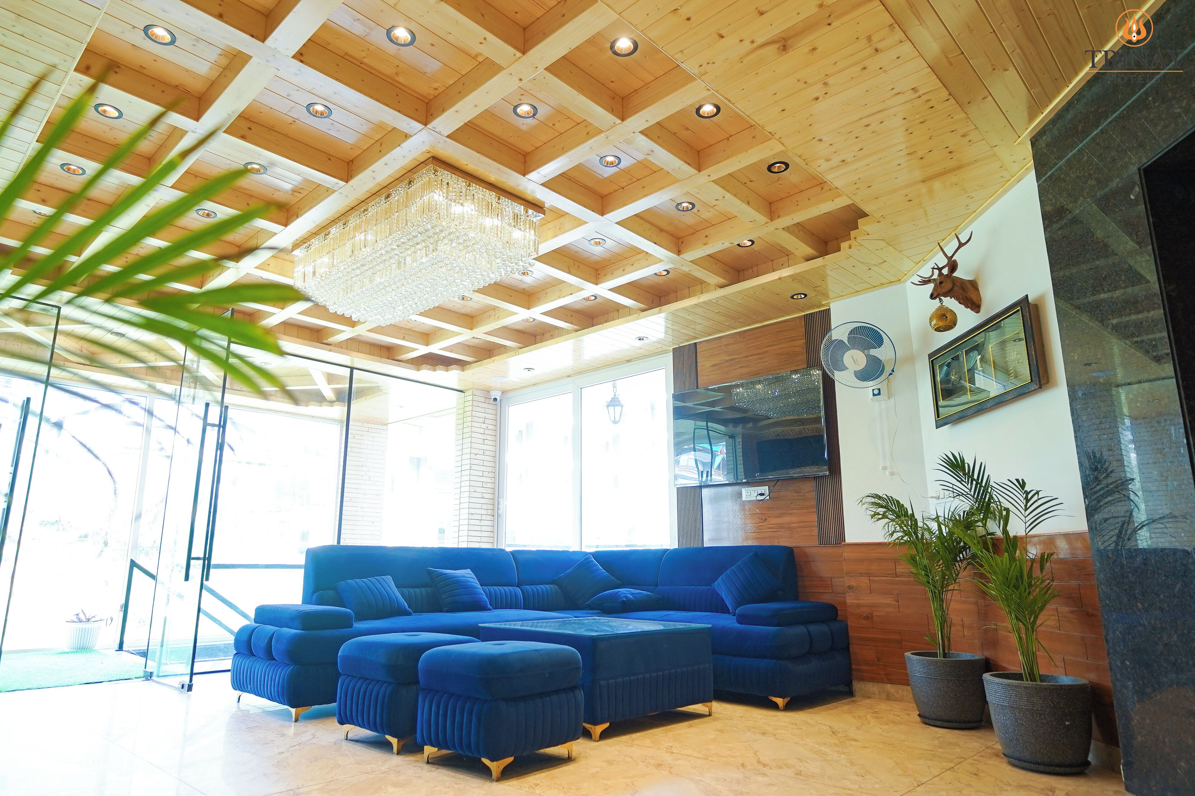 A modern living room with a blue sectional sofa, a chandelier, and potted plants.