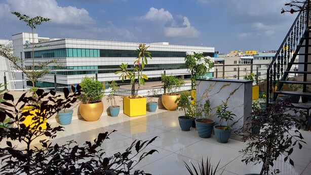 Una terraza en la azotea con plantas en macetas, un edificio moderno al fondo y una escalera.