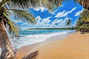 Playa en los alrededores 