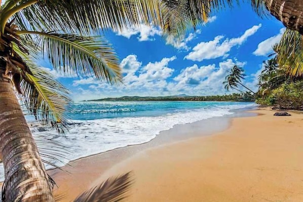 Una playa cerca