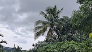 Property grounds - Montego Bay - Hillside Retreat (Montego Bay)