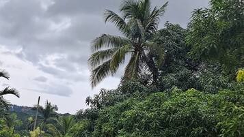 Apartment, 3 Bedrooms, Smoking, Private Pool | Property grounds