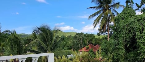 Apartment, 3 Bedrooms, Smoking, Private Pool | Pool | Outdoor pool