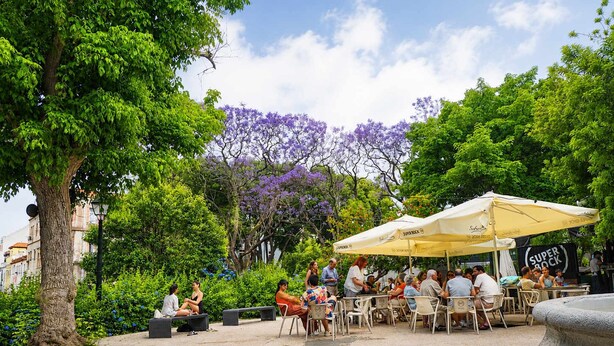 An outdoor café with tables and chairs, surrounded by trees and a fountain. - Sunset Terrace • Tagus Views • Walk to LX Factory (Lisbon)