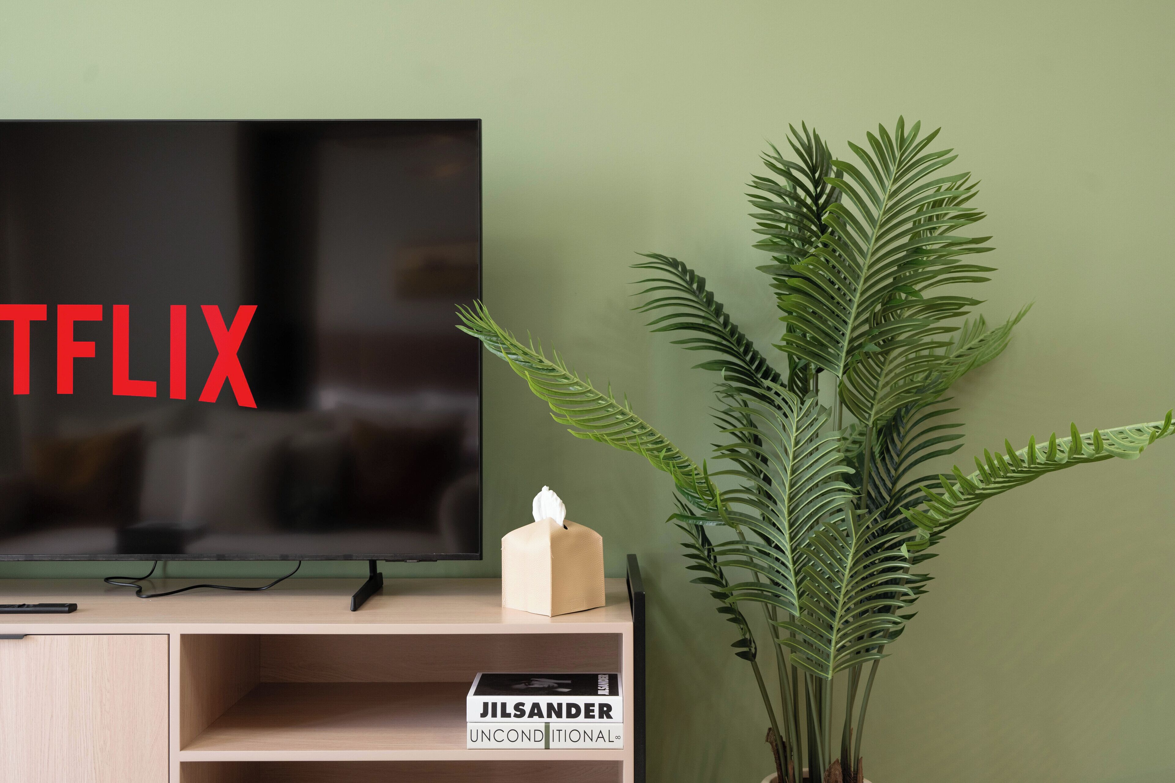Una sala de estar moderna con un televisor de pantalla plana, una planta y una caja de pañuelos sobre una consola de madera.