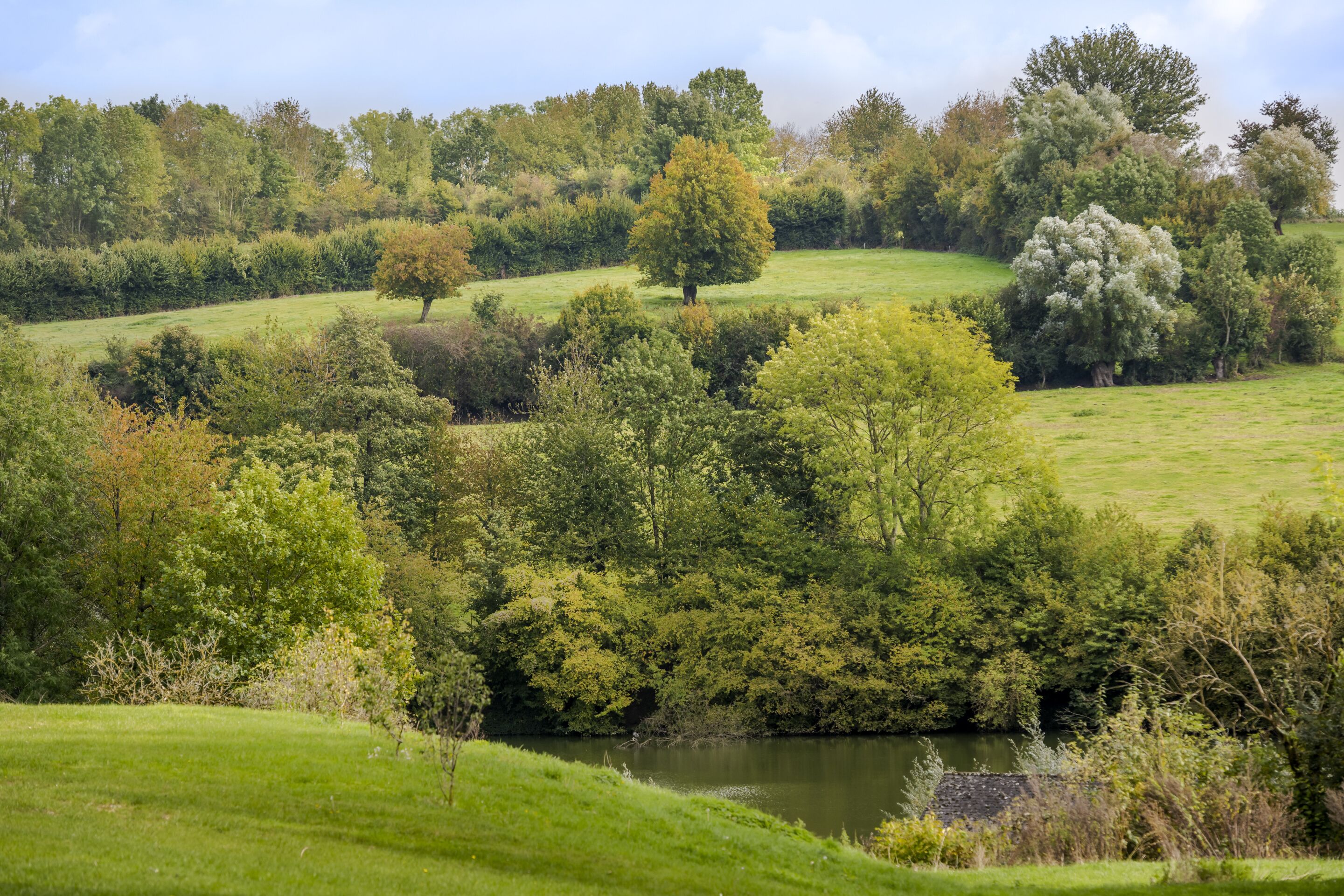 A lush landscape with a river, trees, and grassy fields.