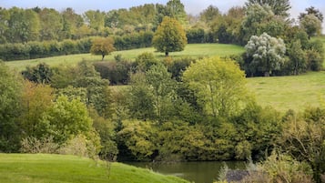 A lush landscape with a river, trees, and grassy fields.