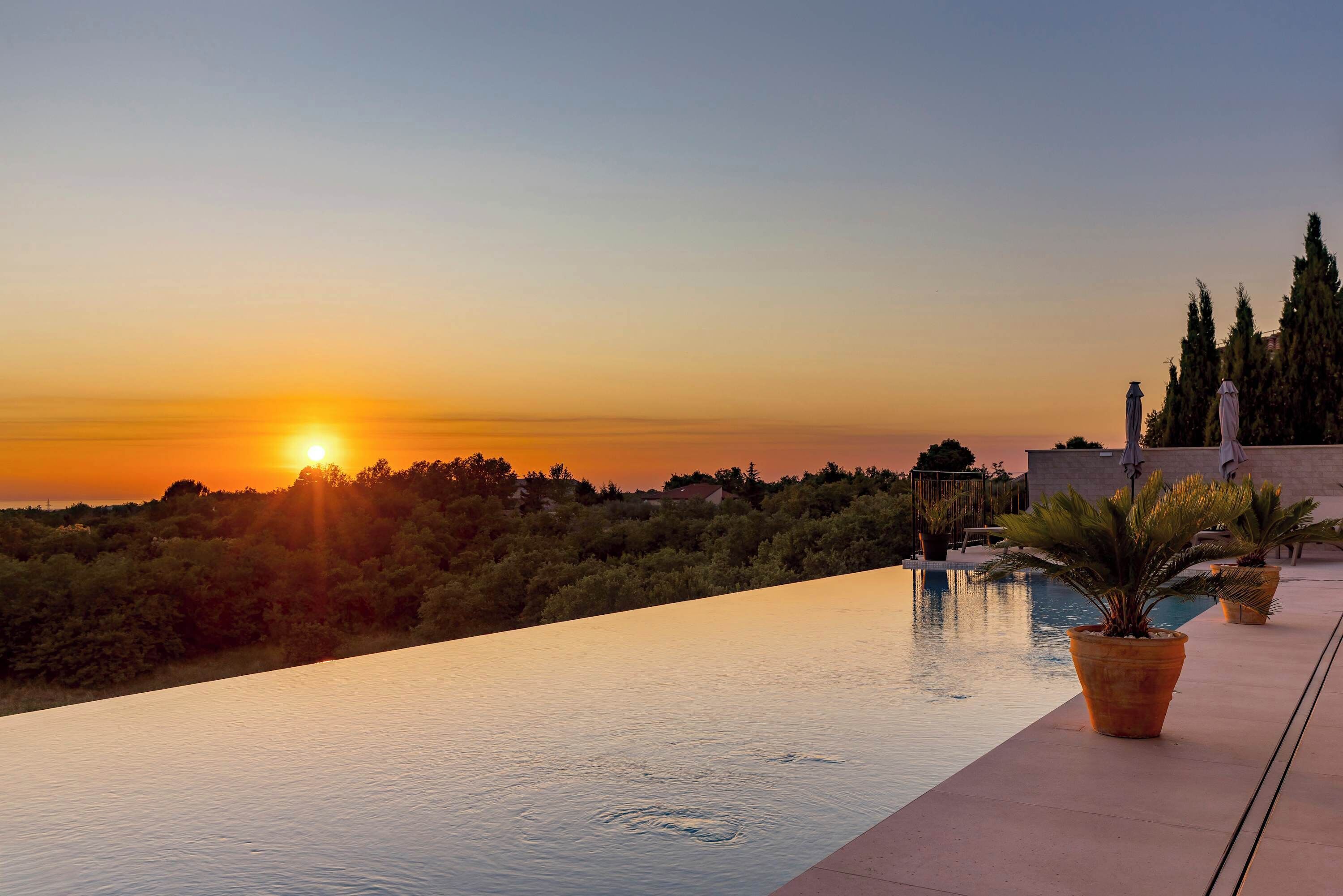 An infinity pool with a sunset view, potted plants, and a clear sky.