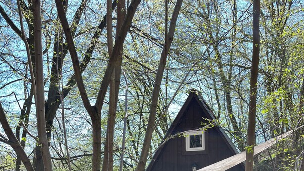 A rustic cabin with a wooden deck and a small porch, surrounded by trees. - Tiny house in Posázaví region (Kaliště-Ondřejov)
