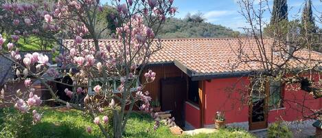 Un bâtiment rouge avec un toit en tuiles, entouré d’une végétation luxuriante et d’arbres en fleurs.