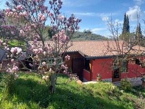 Property grounds - Nine kilometers from Lake Turano, cozy wooden chalet. (Oliveto)