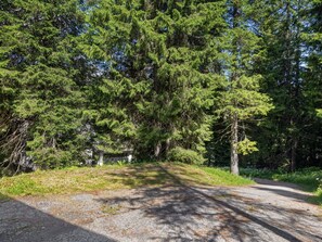 المنطقة المحيطة بالمنشأة