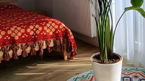Une pièce avec un lit, un radiateur, une plante en pot et une fenêtre avec des rideaux.