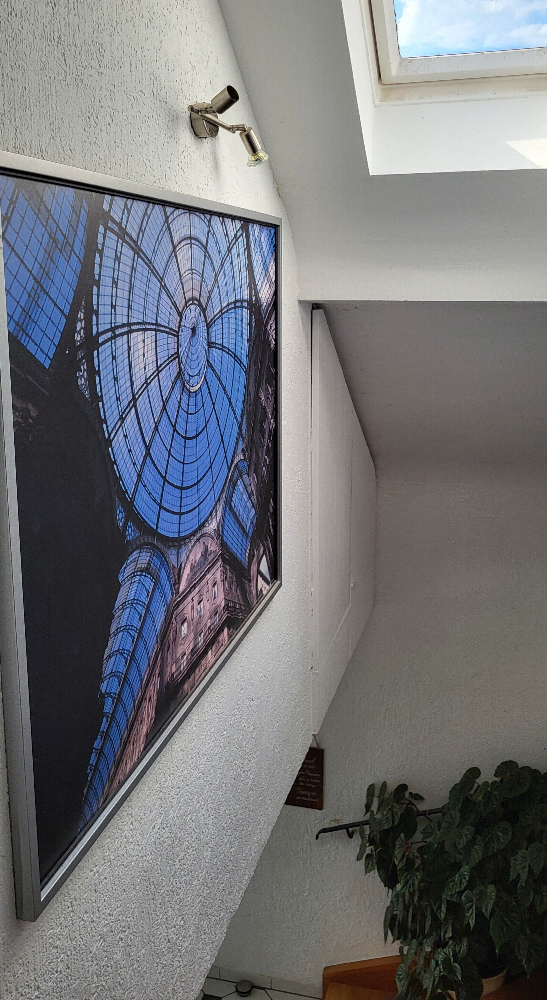 Una stanza con un'ampia fotografia incorniciata dell'interno di un edificio, una pianta in vaso e un lucernario.