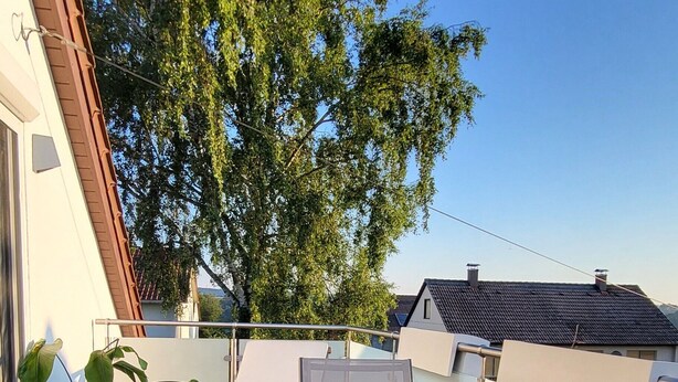 Une terrasse en bois avec une table et des chaises, des plantes en pot et une vue sur un arbre et les bâtiments voisins.