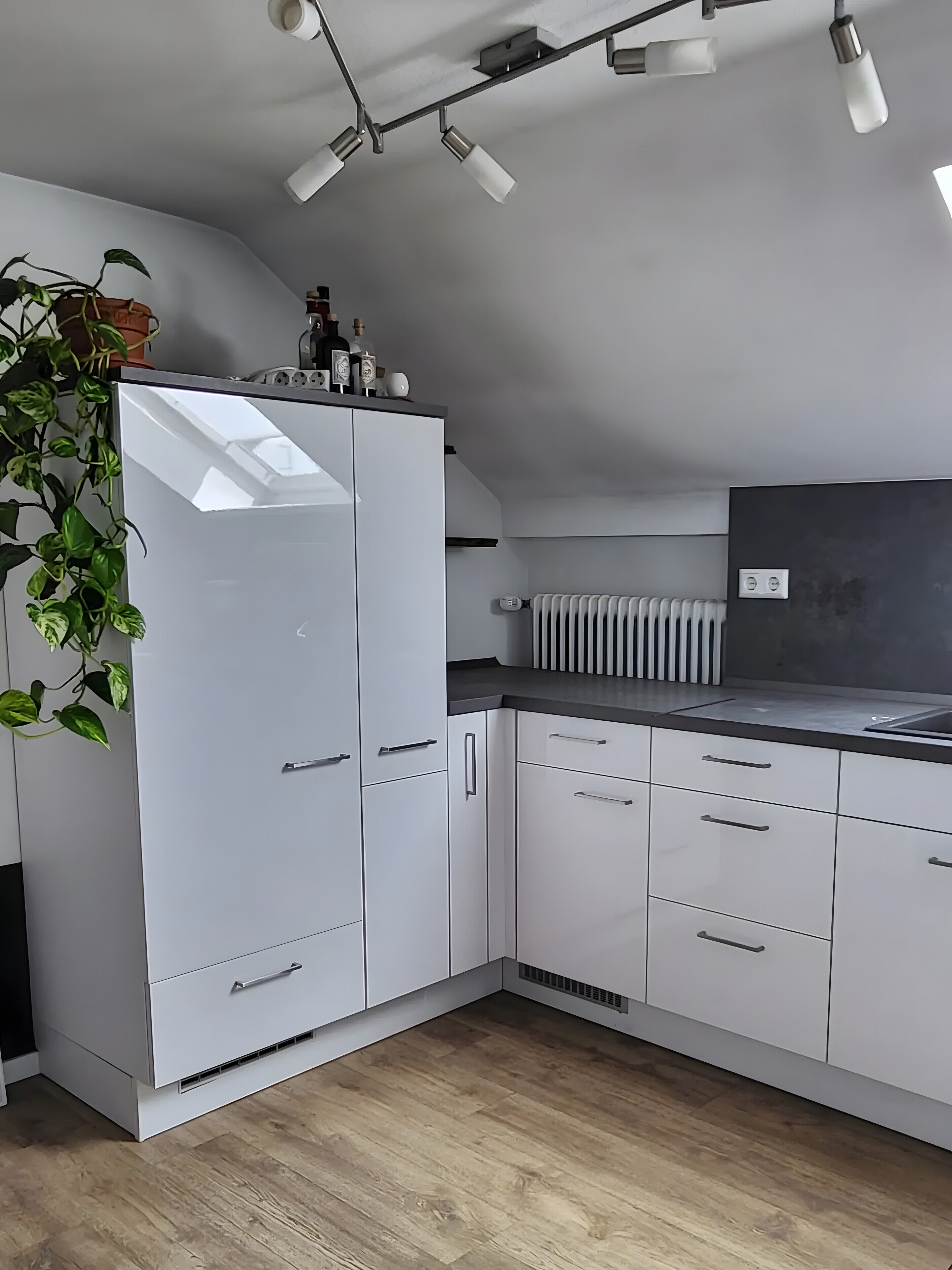 Kühlschrank, Mikrowelle, Herdplatte, Wasserkocher mit Kaffee-/Teezubehör