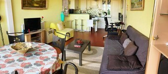 Large, comfortable T2 apartment