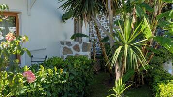 Jardim